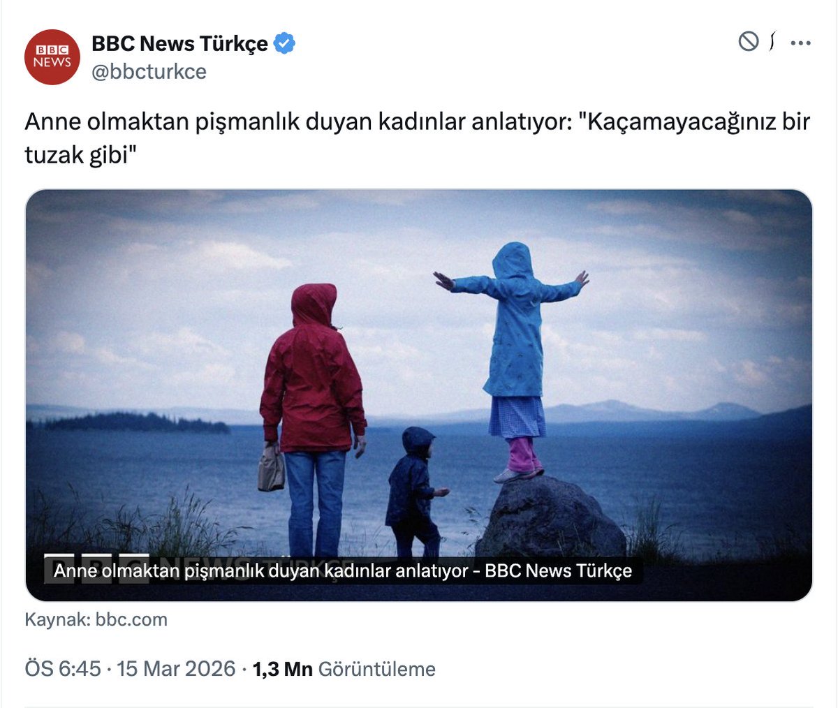 BBC News'in 43 farklı dilde haber yayını olmasına rağmen bu haberi sadece Türkçe ve Arapça dillerinde yaptı.