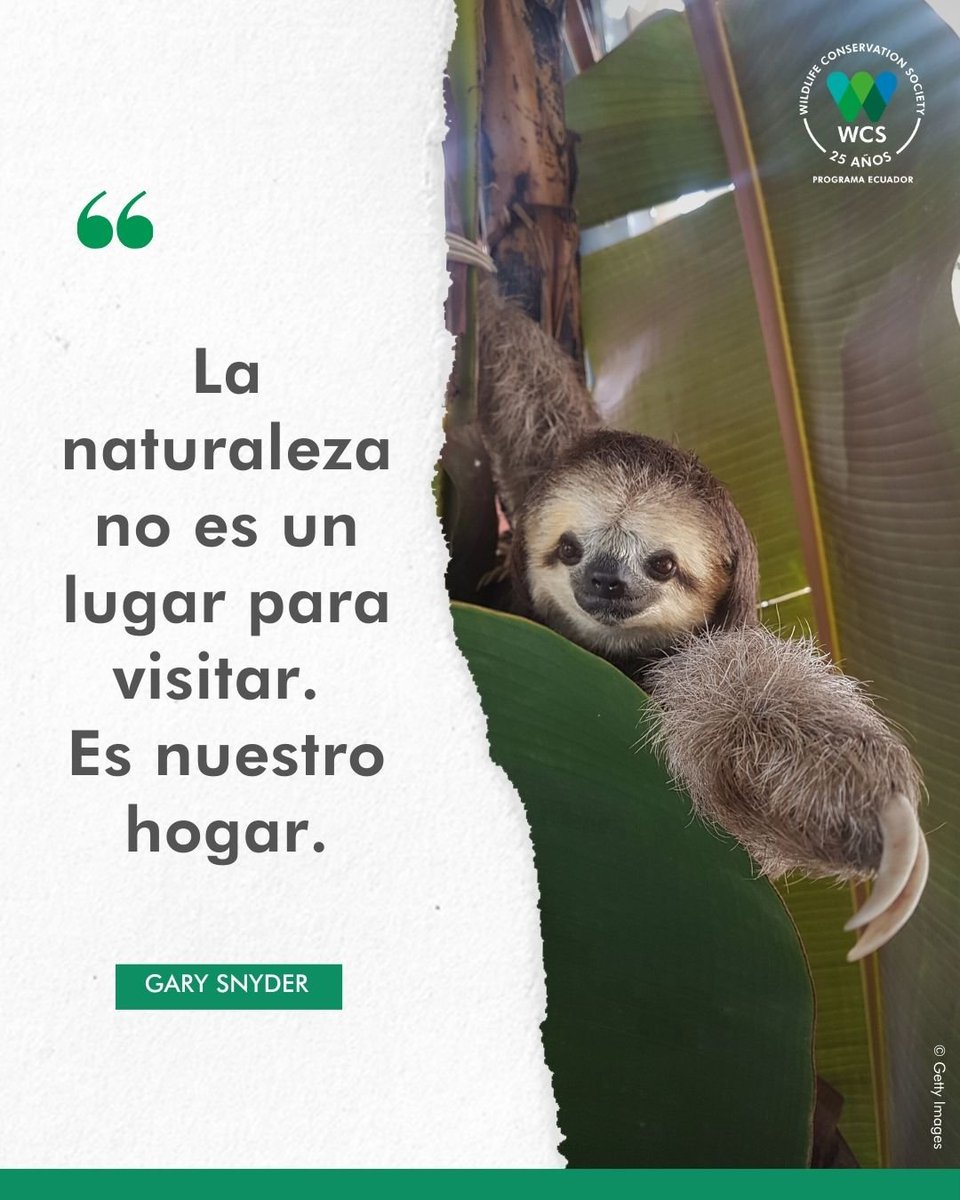 WCS Ecuador 💚💙 tweet media
