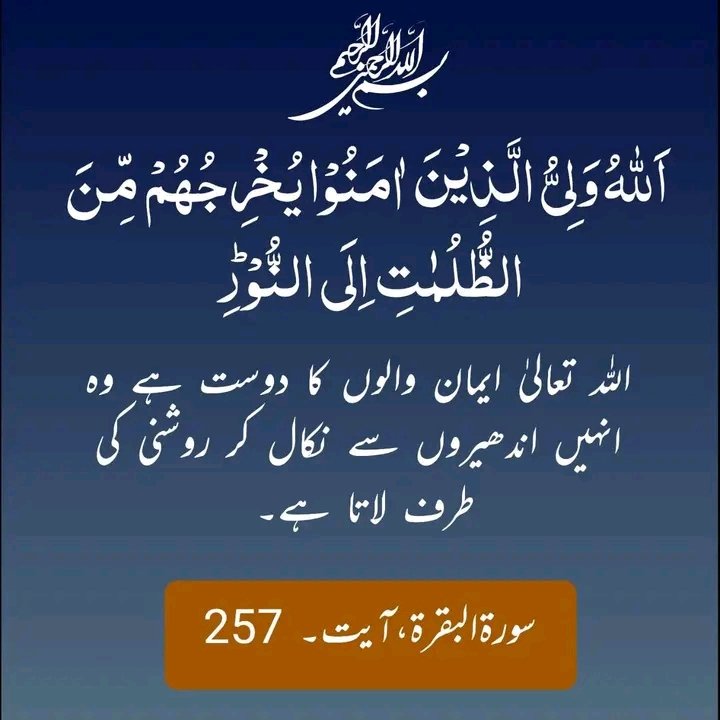 🌸Ameer khan 🇵🇰 tweet media