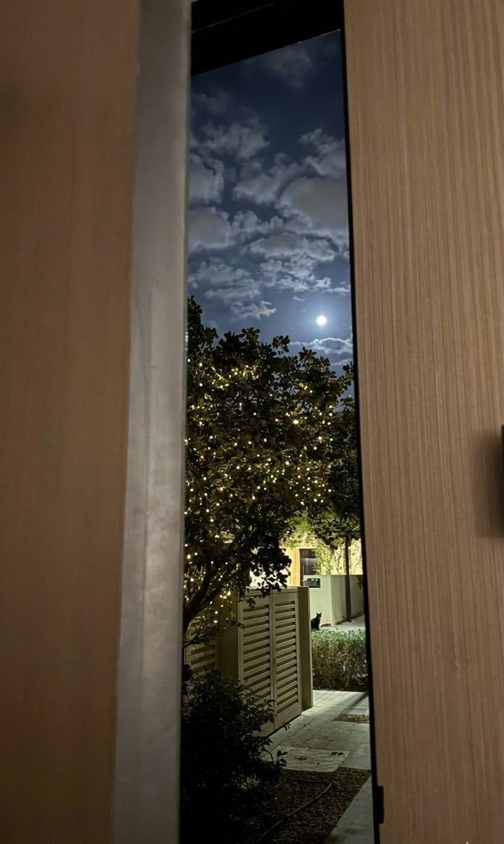 Rayora__'s tweet photo. ✨🌙✨ https://t.co/TDPe0eVbFq