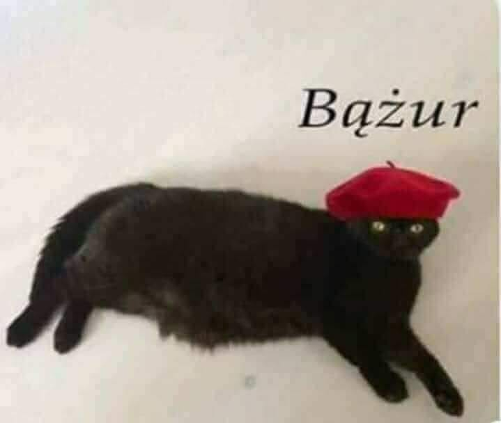 Michał Winiarczyk tweet media