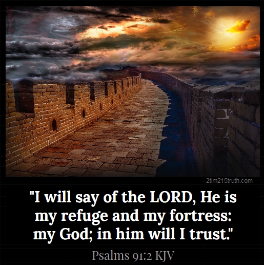 Connie Cline tweet media