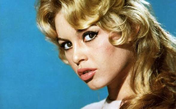 Megan Basham tweet media