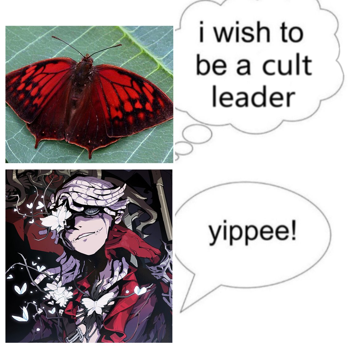 (,,ꕥ︿⊗,,)っ🔪‧₊ tweet media