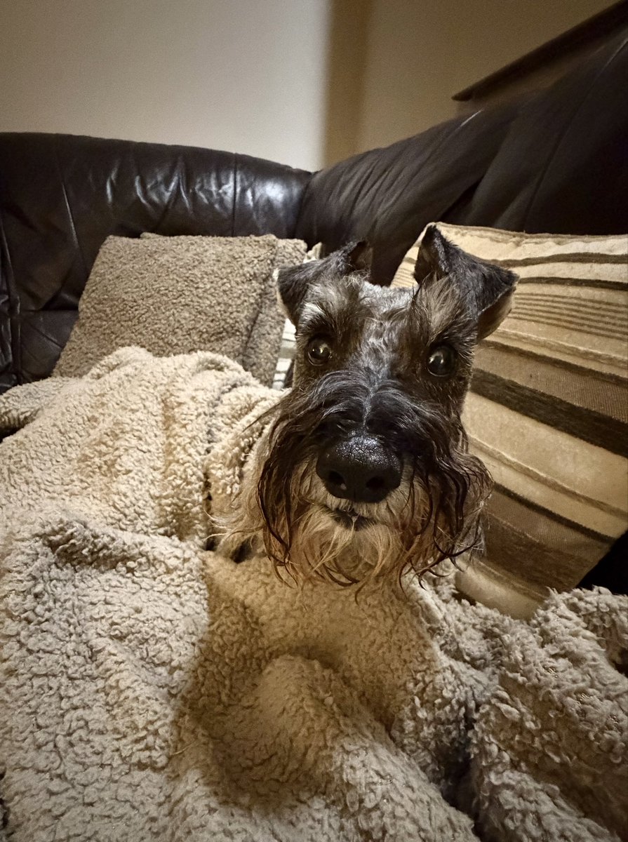 𝓙𝓾𝓼𝓽 𝓜𝓮 𝓐𝓷𝓭 𝓞𝓼𝓬𝓪𝓻 ♡ tweet media