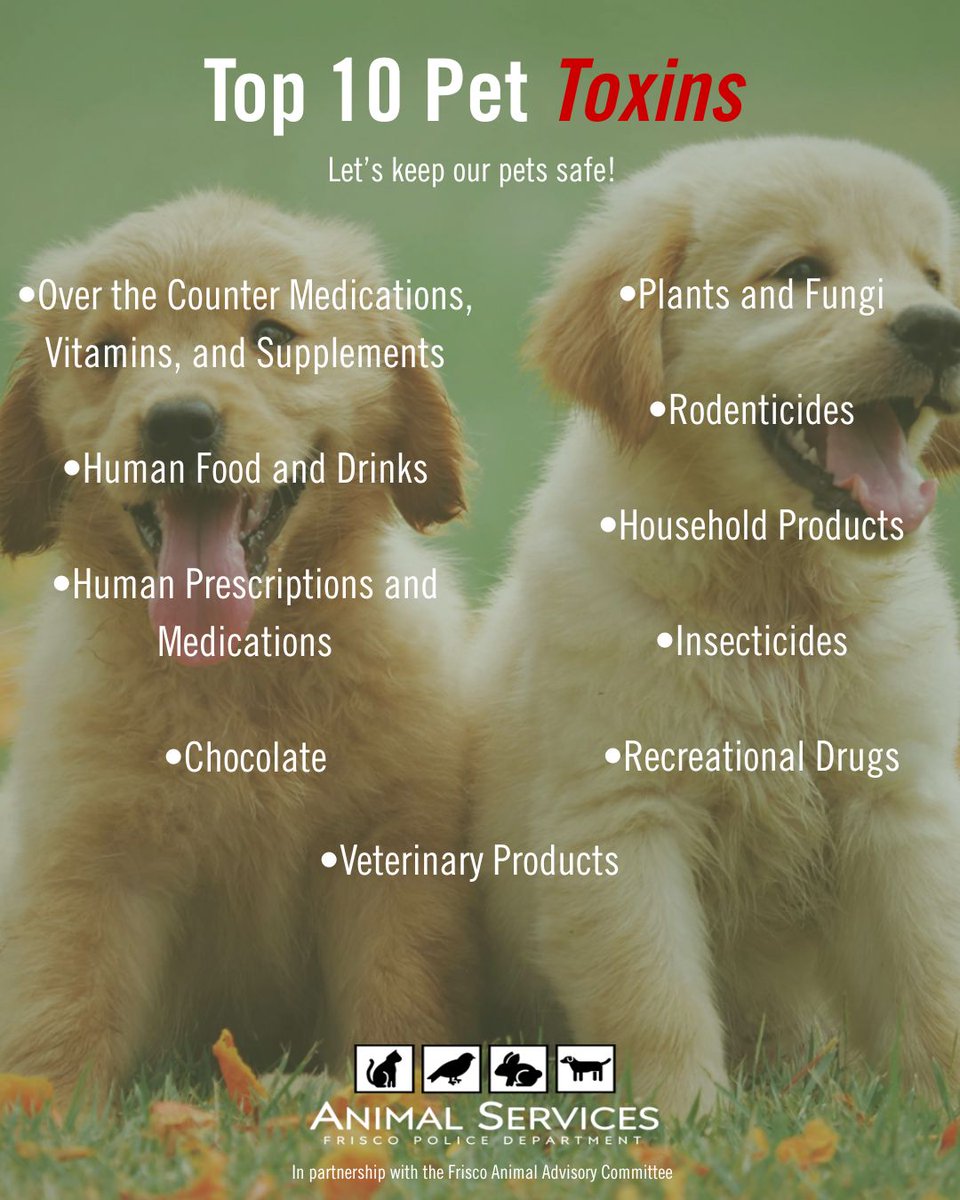 Frisco Police tweet media