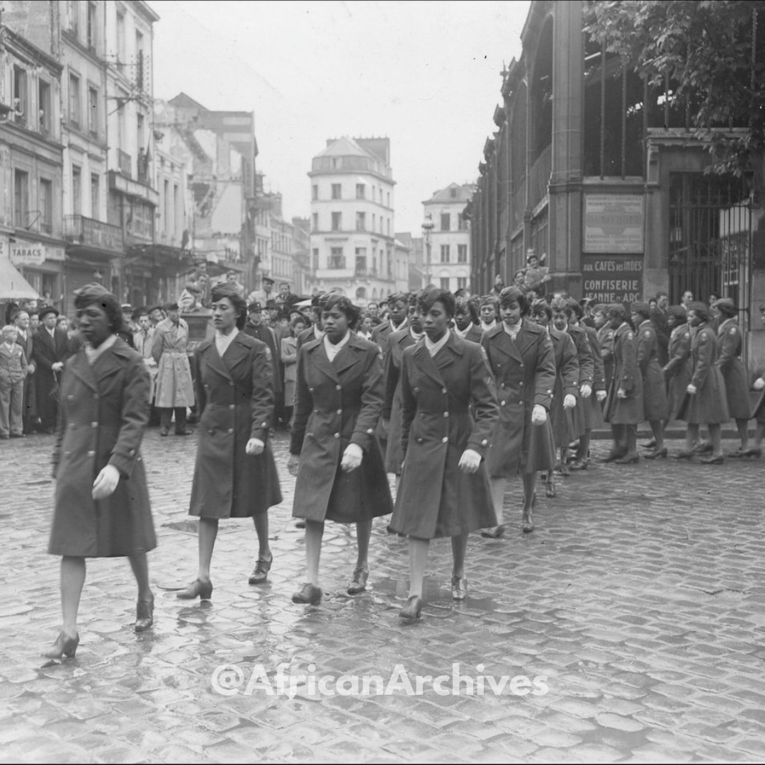 AFRICAN & BLACK HISTORY tweet media