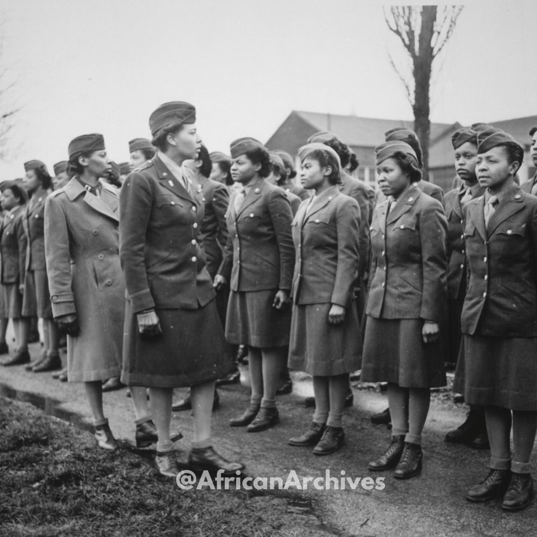 AFRICAN & BLACK HISTORY tweet media