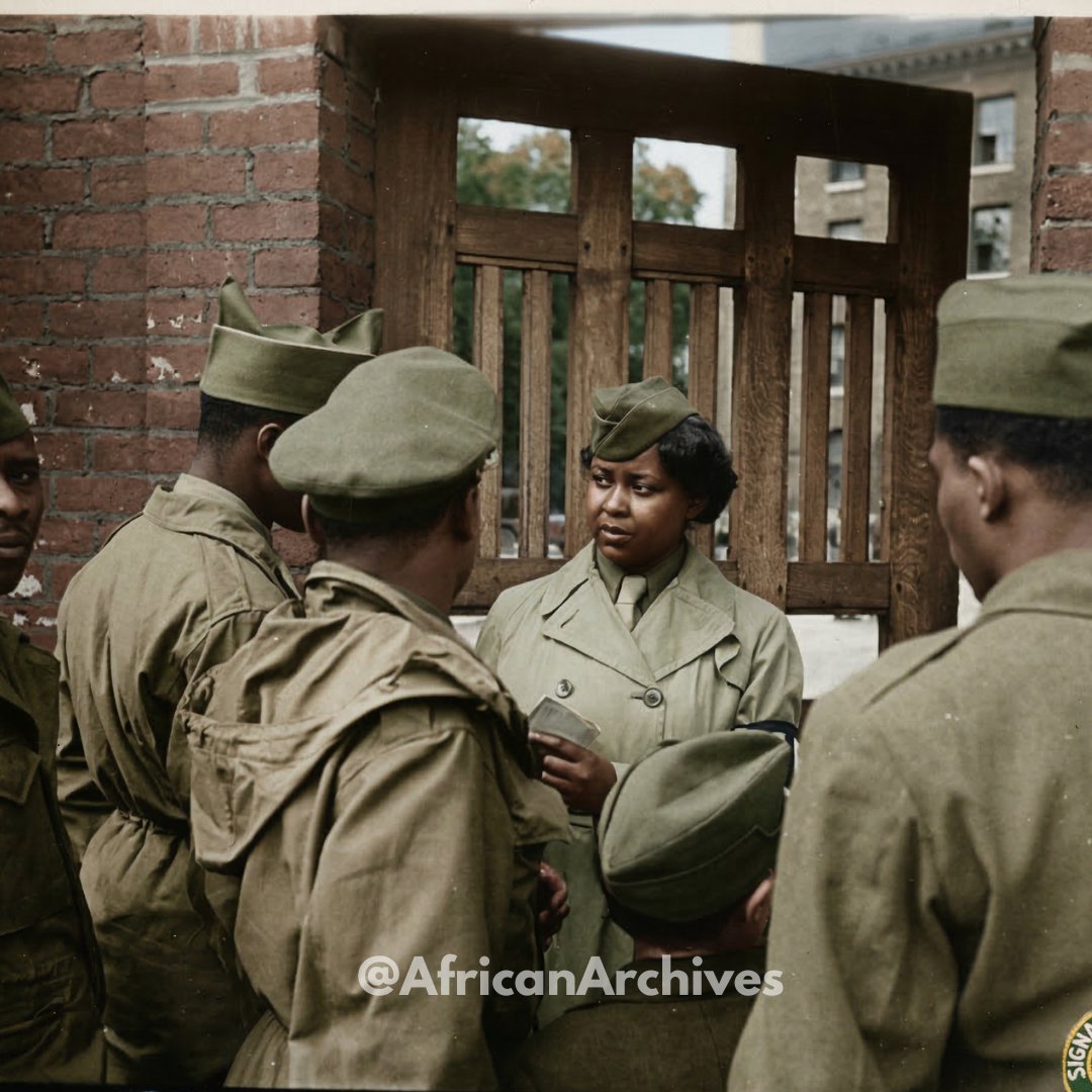 AFRICAN & BLACK HISTORY tweet media