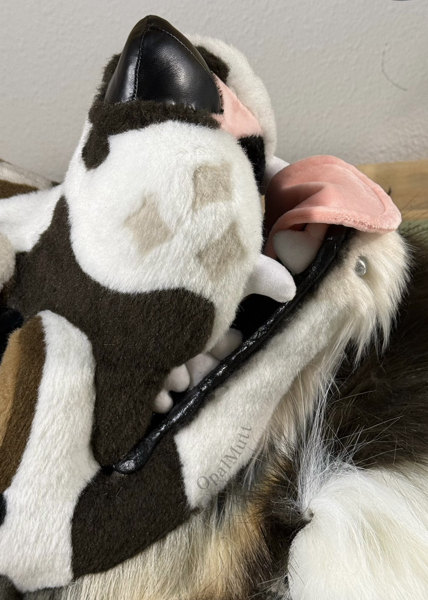 Opal Mutt tweet media