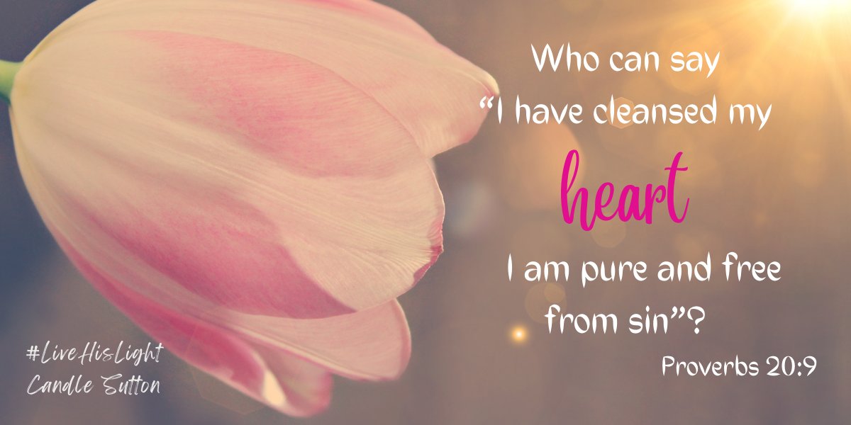 Candle Sutton tweet media