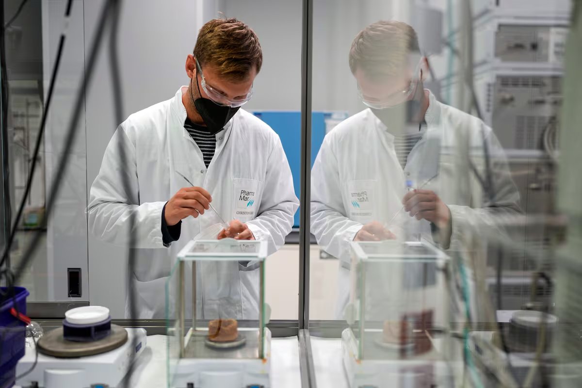 Marcas Argentinas tweet media