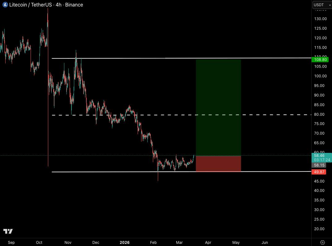 Castillo Trading tweet media