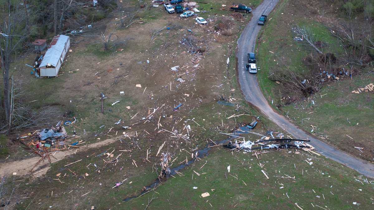 Davis Nolan tweet media