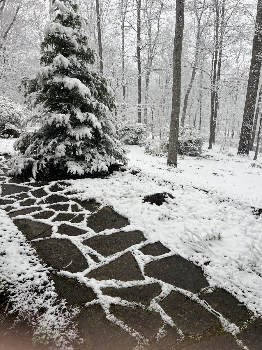 Ray Peyton tweet media