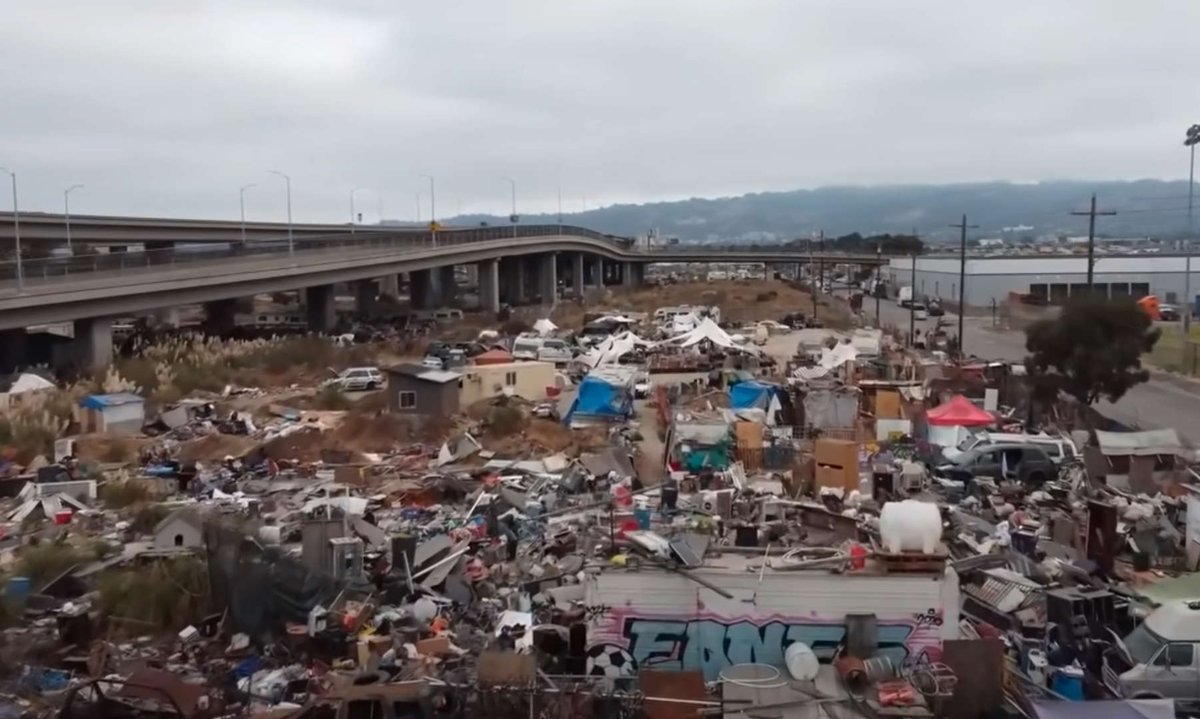 Witness to man's ruin. tweet media