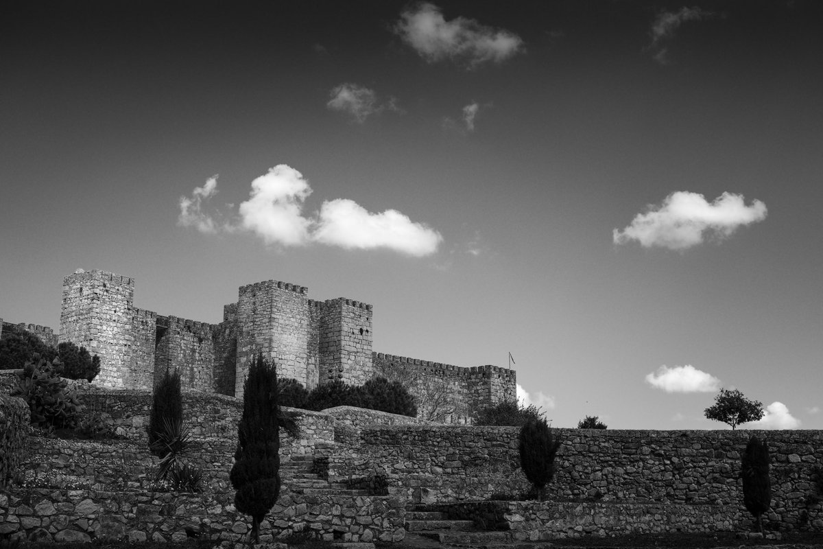 𝚖𝚊𝚕𝚒𝚗𝚘𝚠𝚜𝚔𝚒𝟷𝟺 tweet media