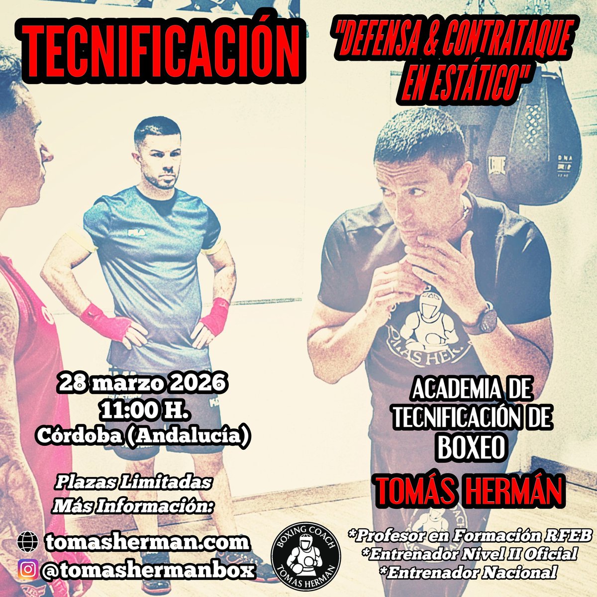 Tomás Hermán tweet media