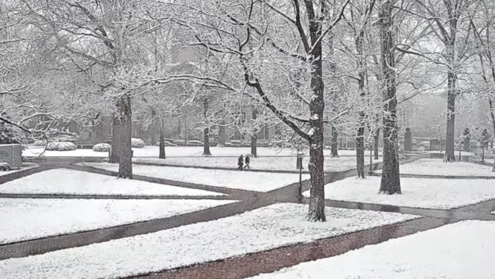 Tyler Sebree ⚡️ tweet media