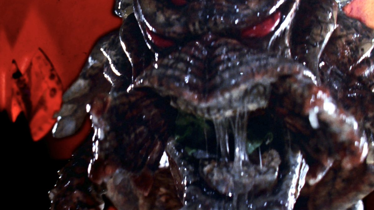 Erick Lorinc 🎃 tweet media