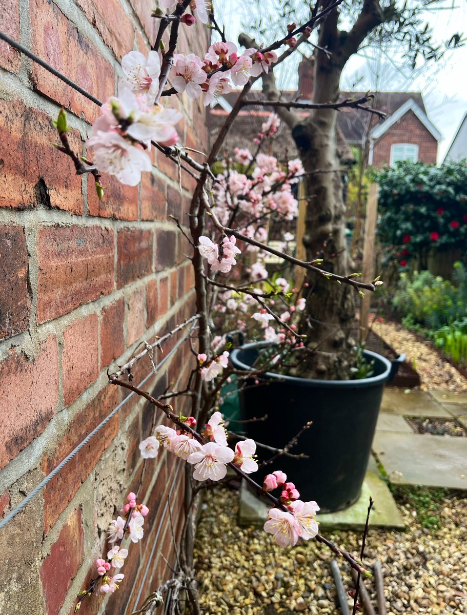 Andy Jones tweet media