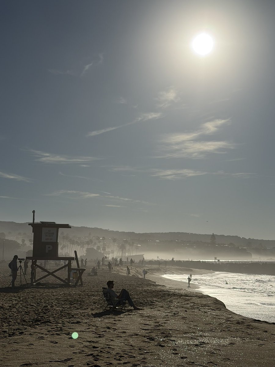 ImASurferDude tweet media