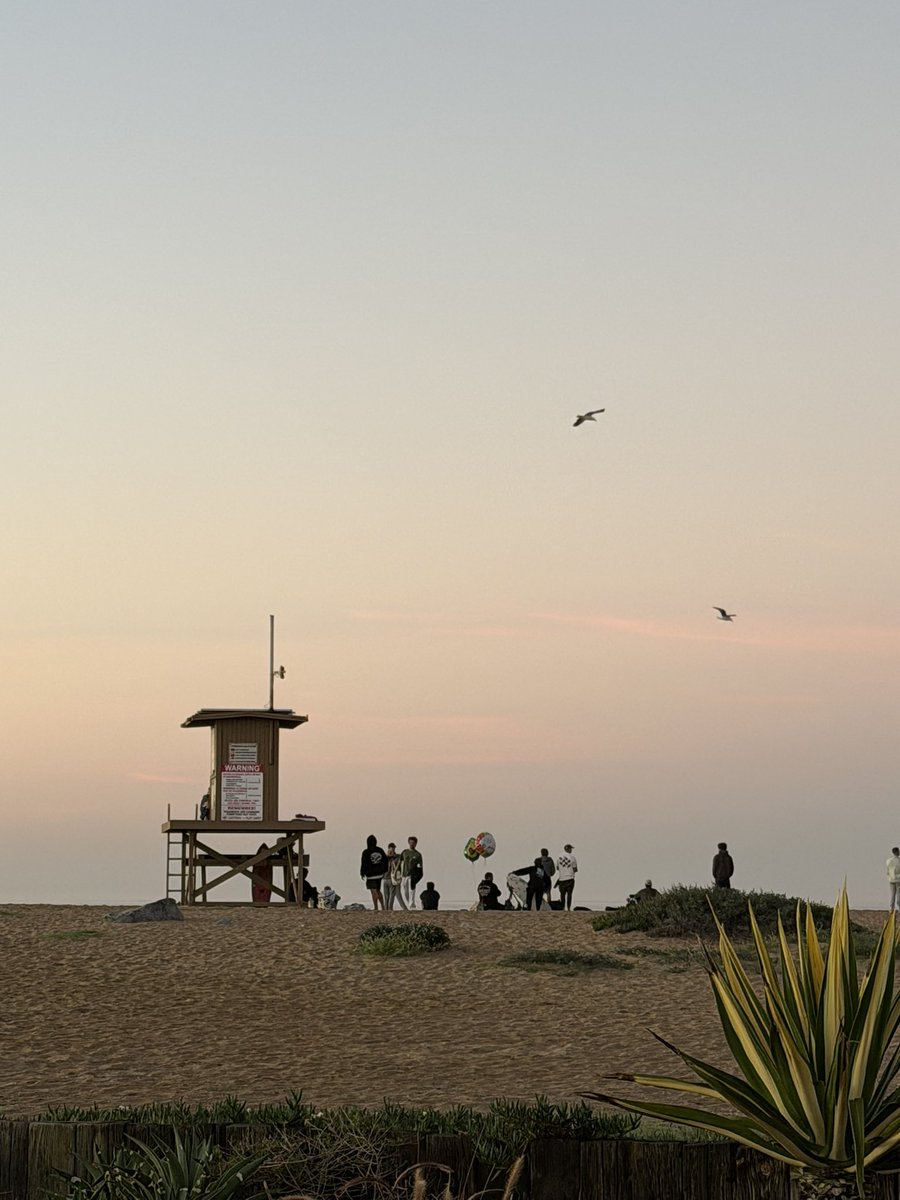 ImASurferDude tweet media