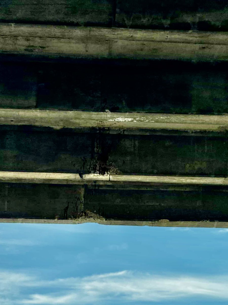 Just Bins tweet media