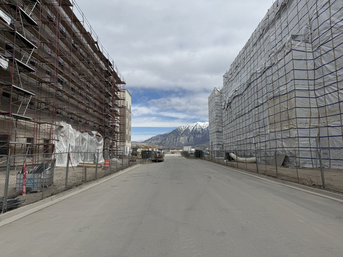 Micah Springut tweet media