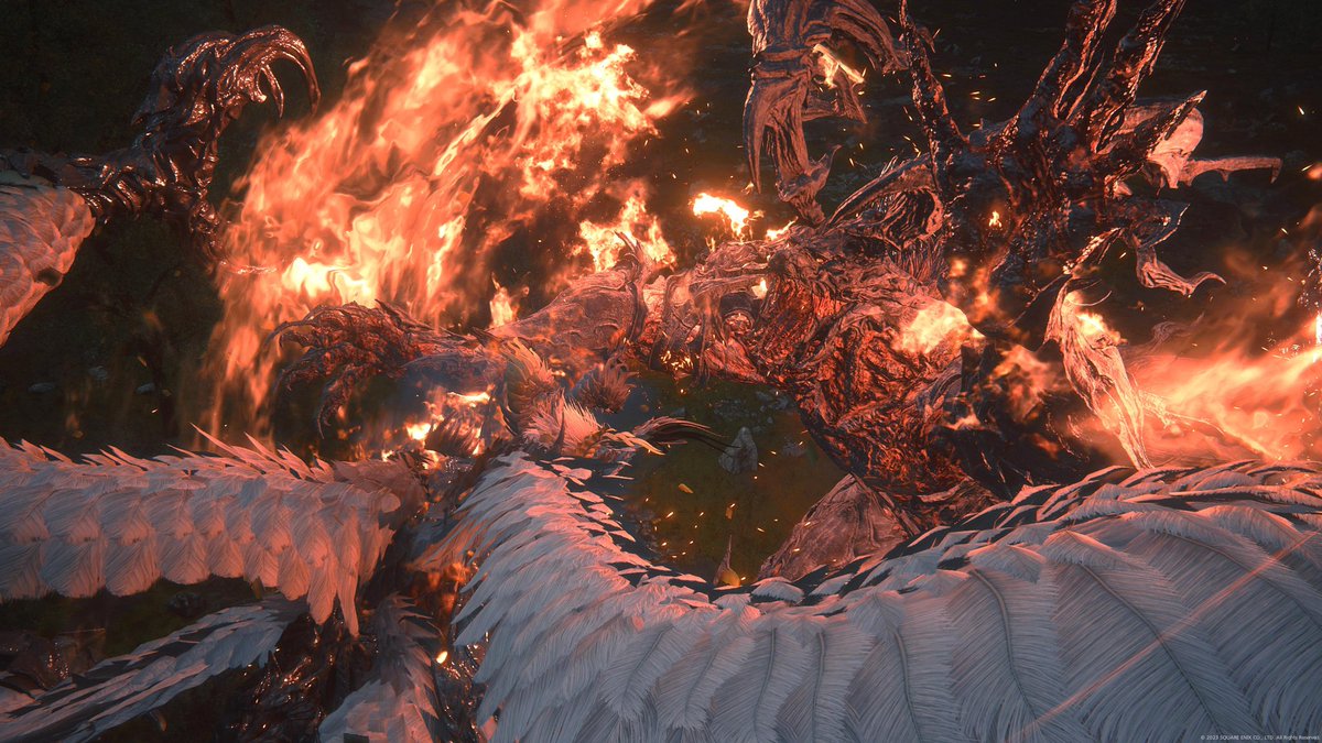 A.Bejarano tweet media