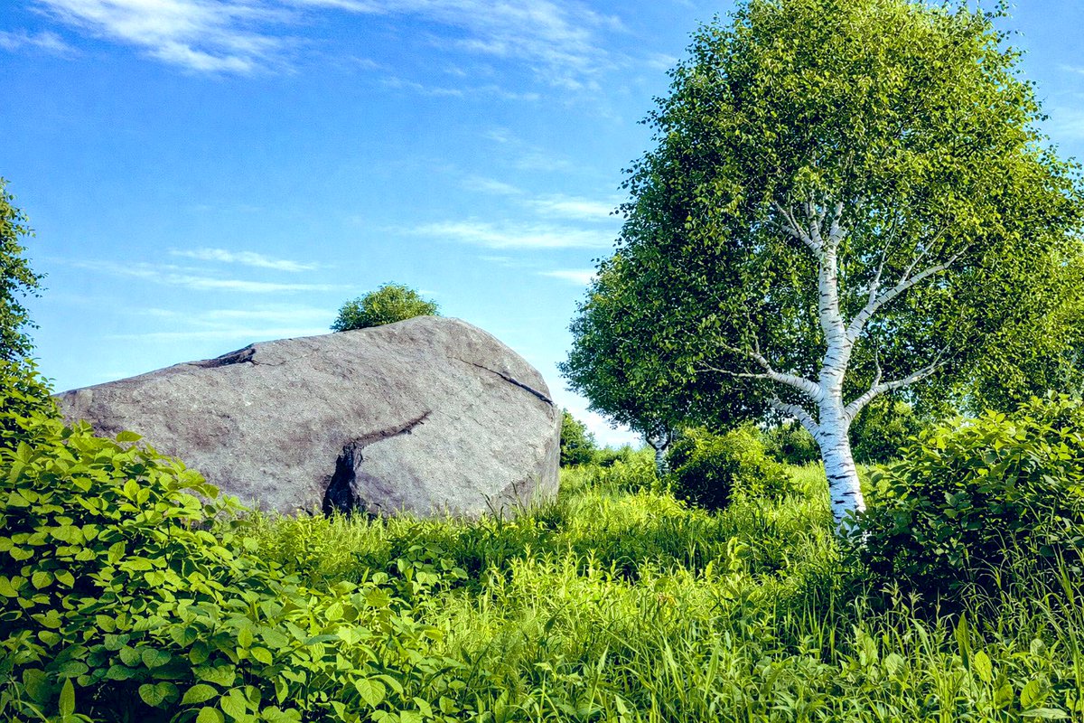 BaldieAndBaldie's tweet image. Nature Elements extension running with and without DLSS5. 😅

#gamedev #indiedev #gdevelop