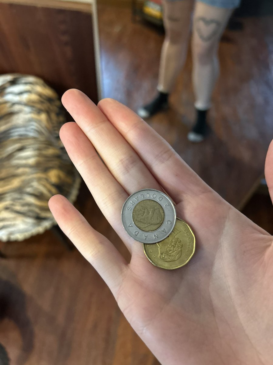 rob 🍉 tweet media