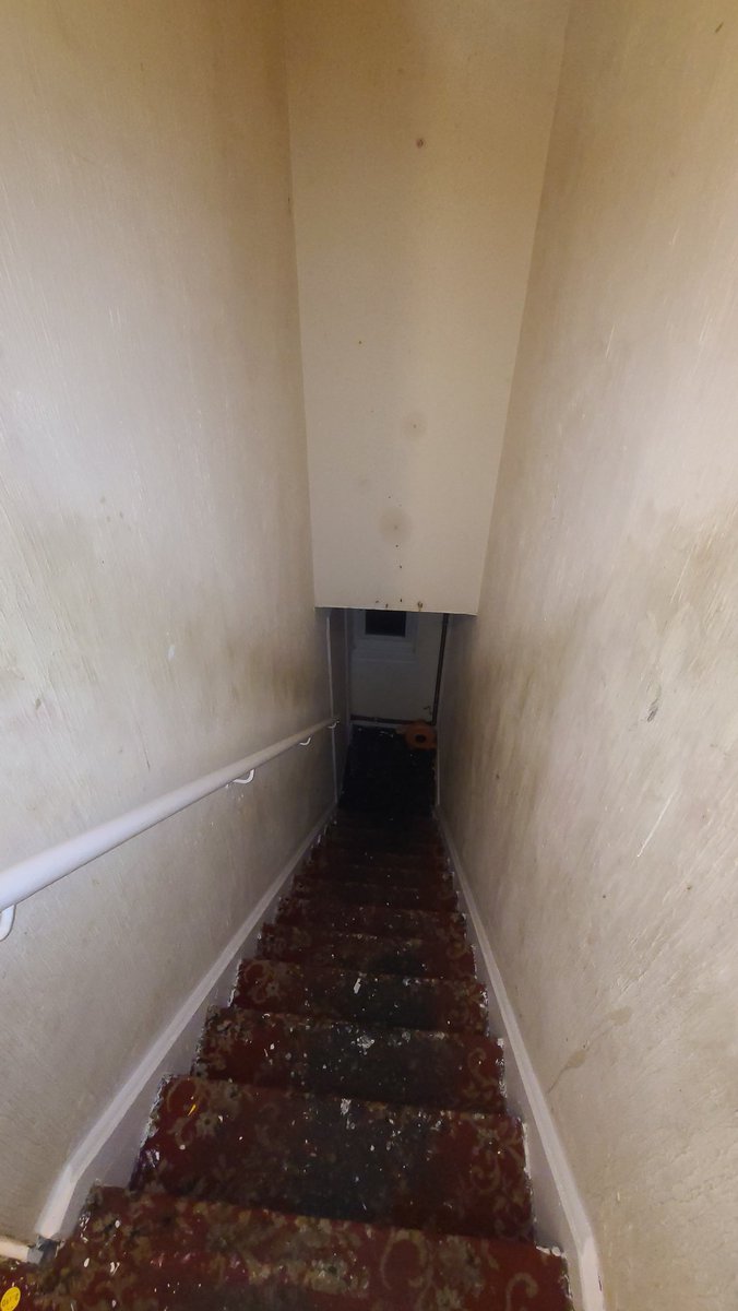 Stef On Xbox tweet media