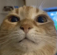 InFox_ • OPEN COMMS • (FULL) tweet media