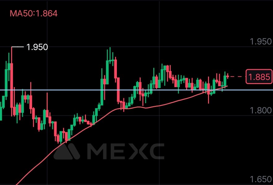 mysticryptoze's tweet photo. $render looks primed, locked, and loaded

#render #crypto #AI https://t.co/O6a3KX5KEQ