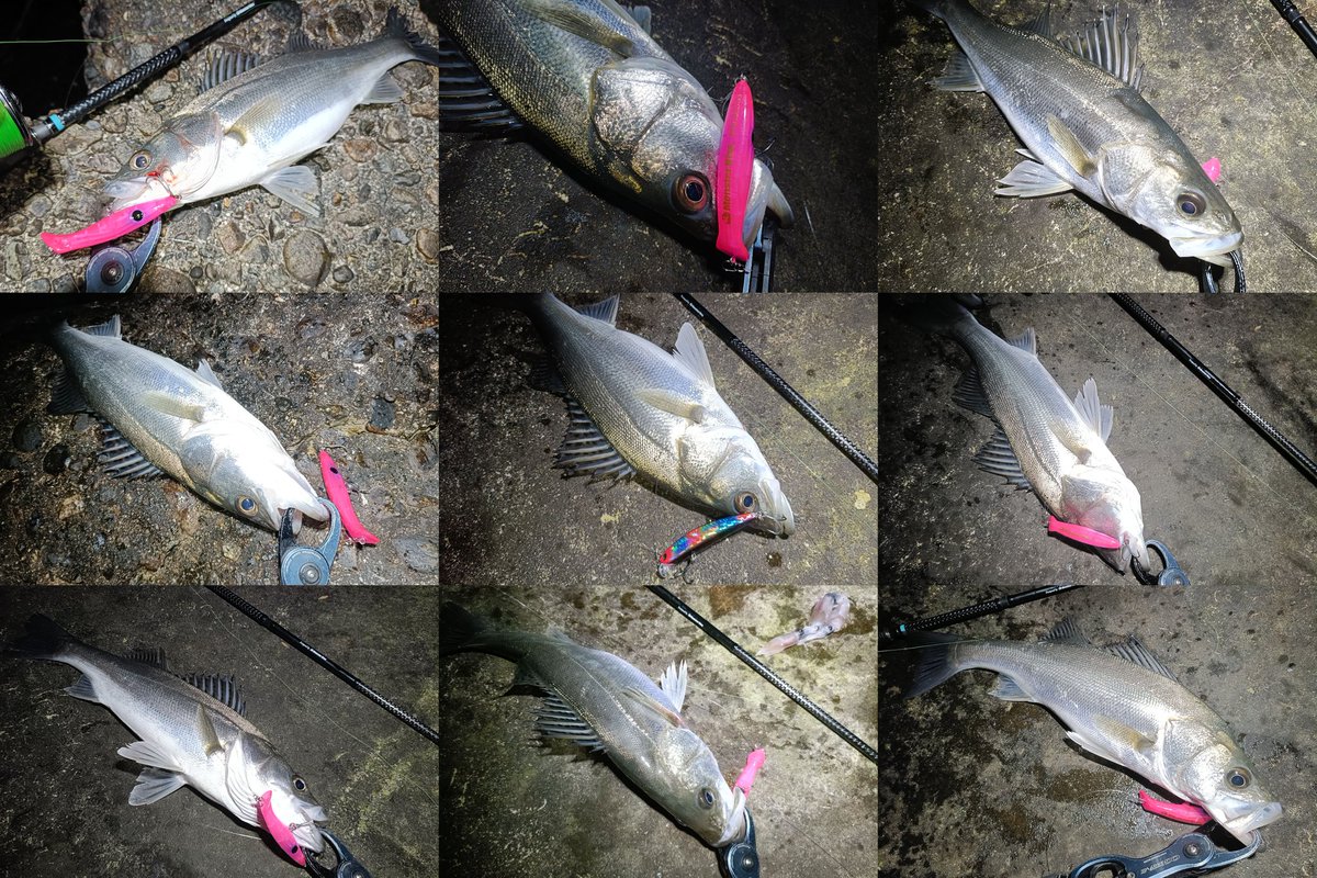 定廣一志 tweet media