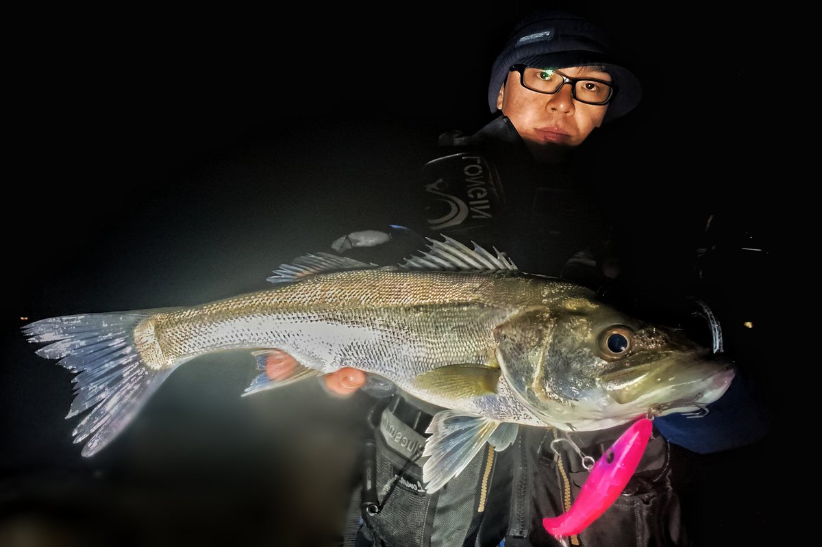 定廣一志 tweet media