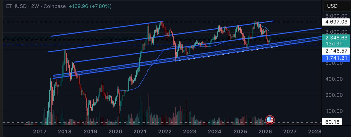 THE SHORT BEAR tweet media