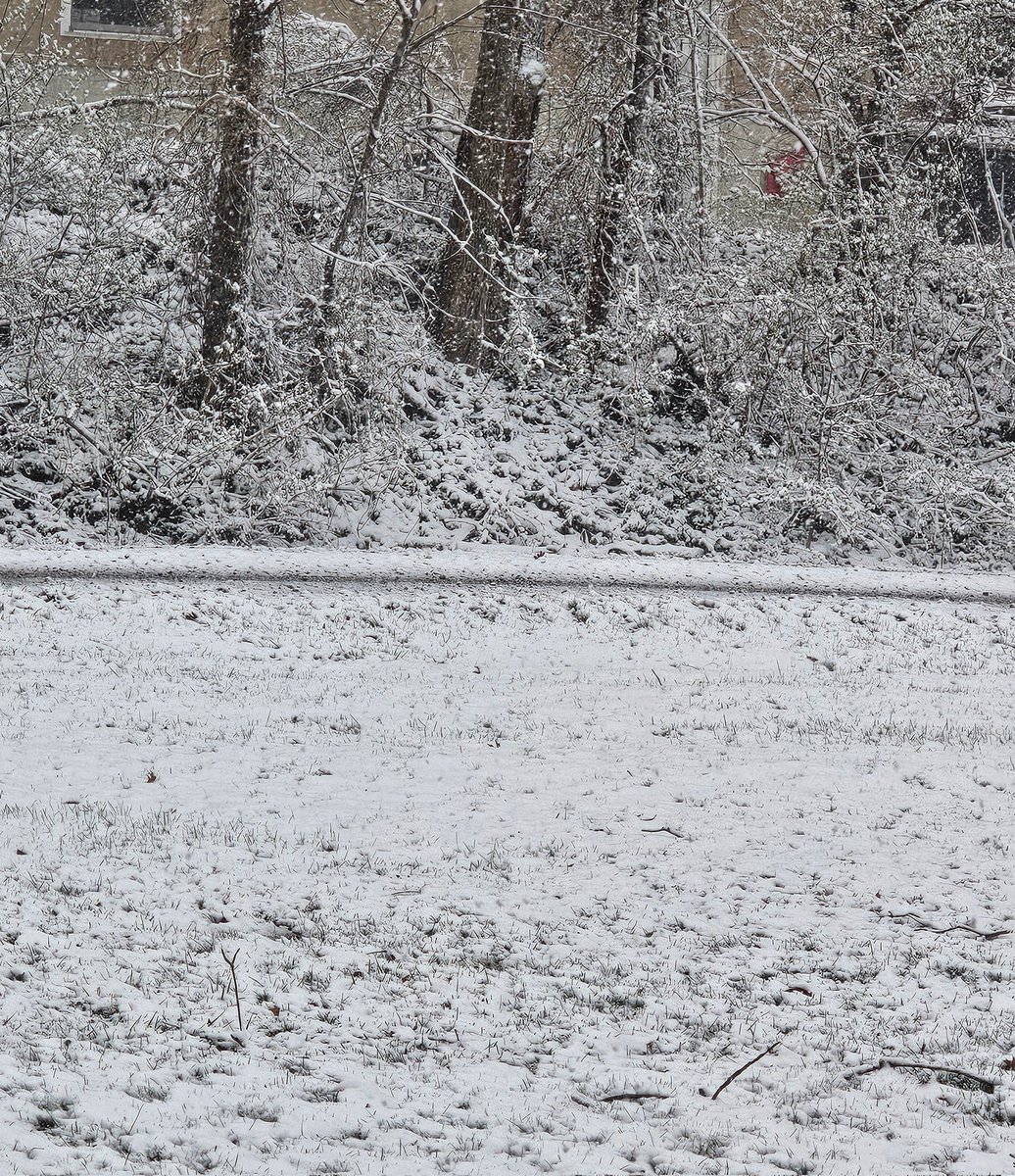 Welcome to Ohio weather. Iplayed 18 holes of golf yesterday.