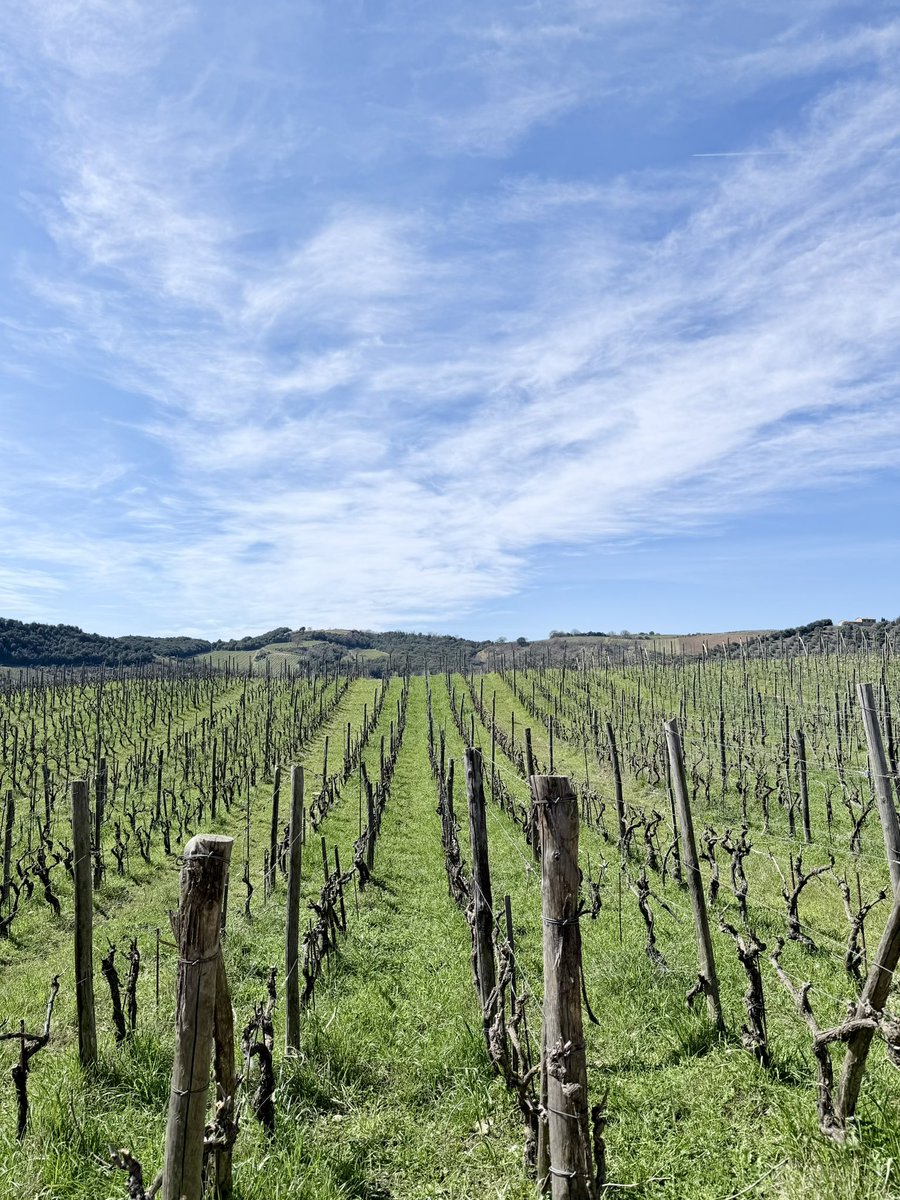 Jonathan S. Geller tweet media