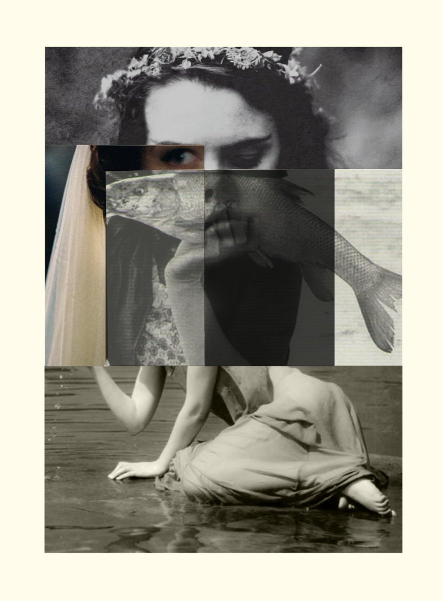 YEDAI 🐡 tweet media