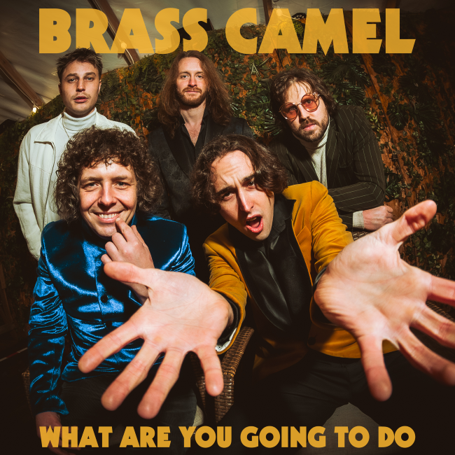 Terry Birnie tweet media