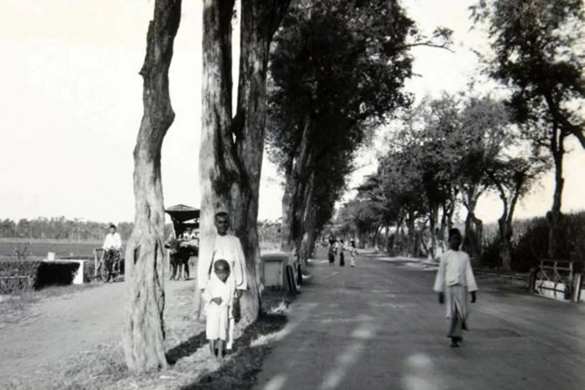 Pakbintang1945 tweet media