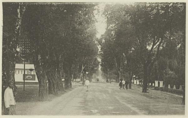 Pakbintang1945 tweet media