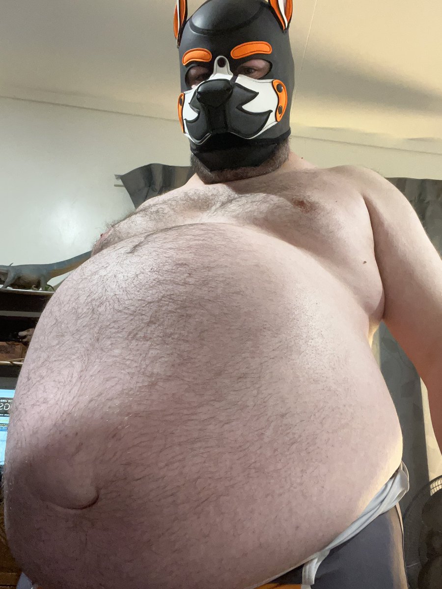 A big fat dog ☺️