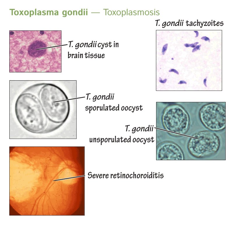 الجودة والتطوير tweet media