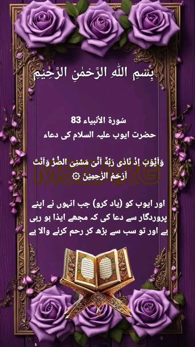 Ayan Khan tweet media