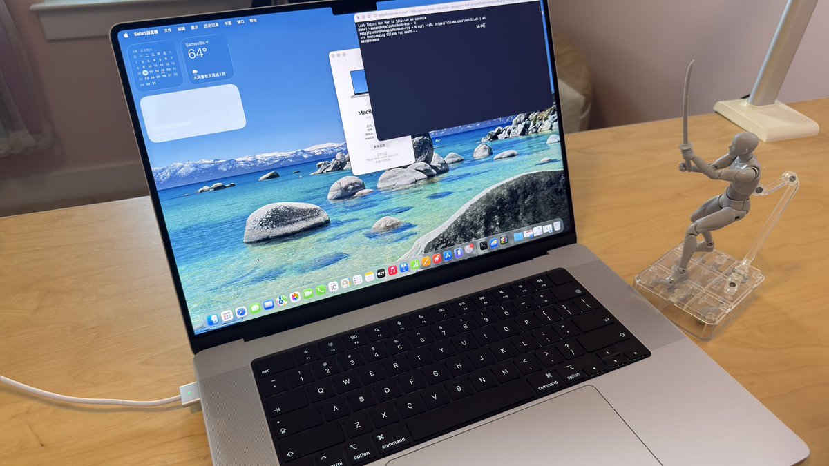 变态辣椒RebelPepper tweet media