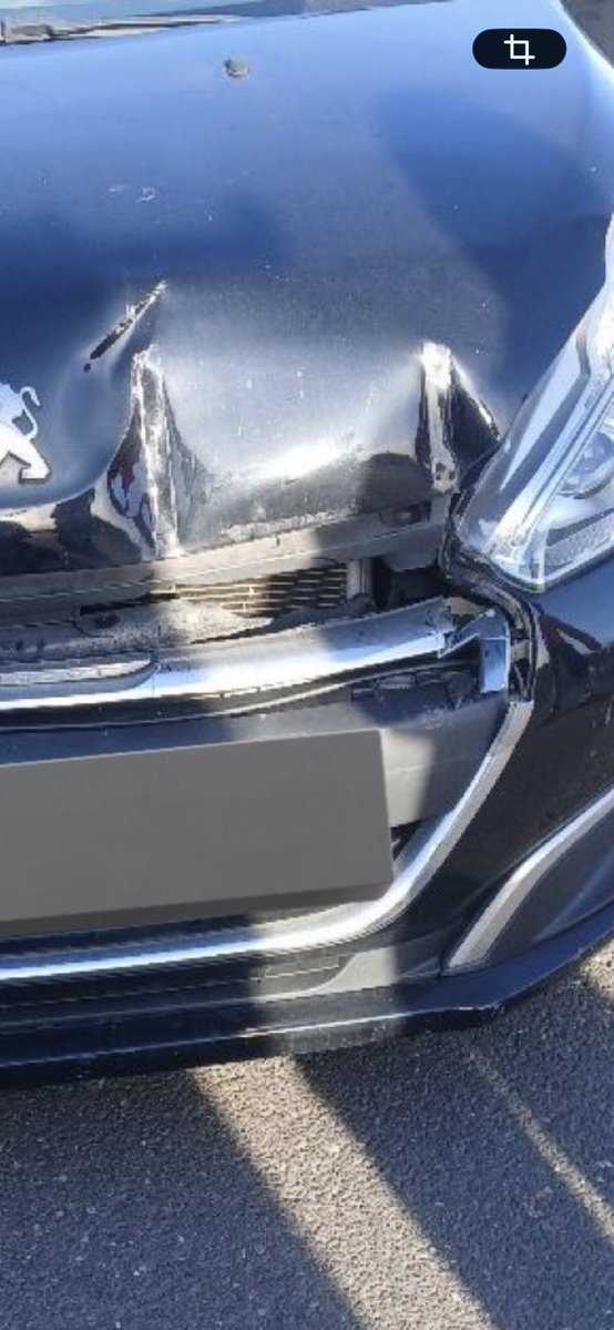 Mélina 🍁 tweet media