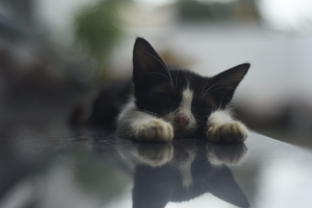 Michael Lott tweet media